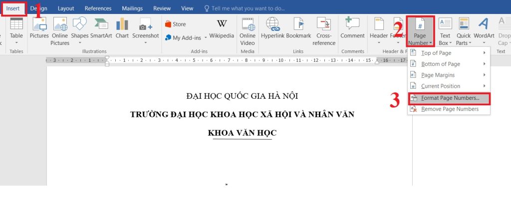 Chọn Insert > Page Number > Format Page Numbers