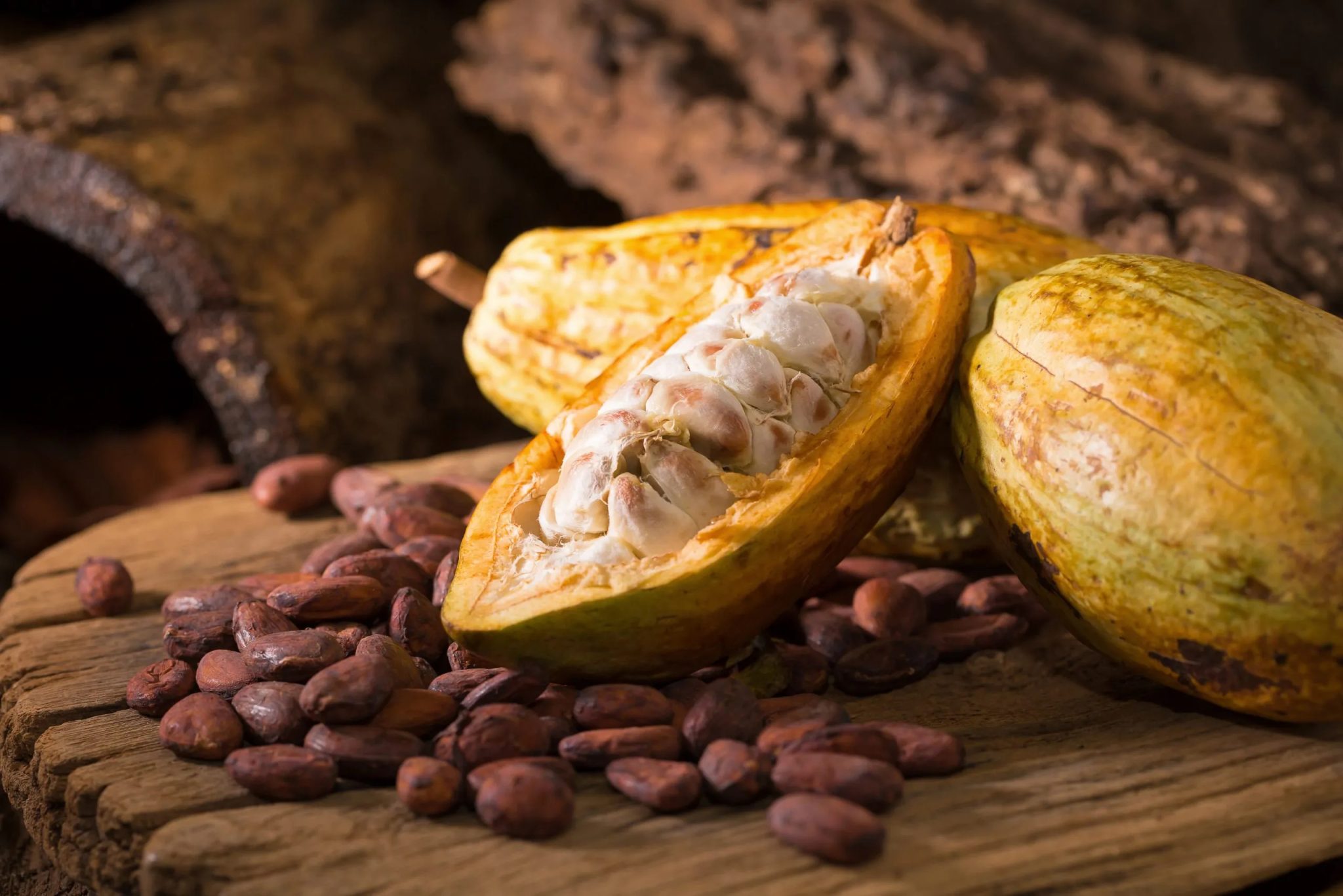 Bột cacao: Lợi ích sức khỏe và tác dụng phụ của cacao | TIKI