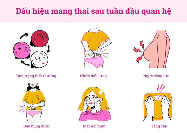 27 dấu hiệu mang thai (có bầu) sớm nhất sau tuần đầu quan hệ