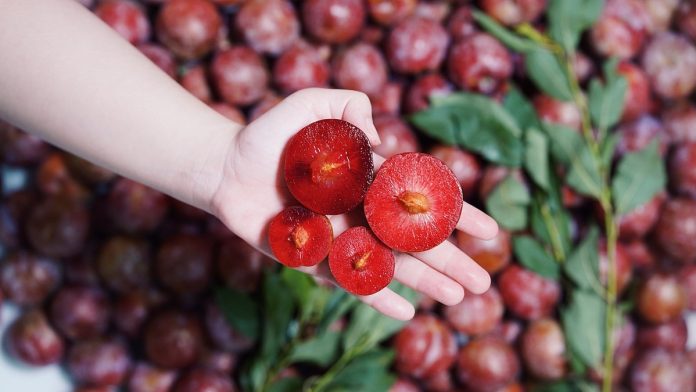 Mận bao nhiêu calo?
