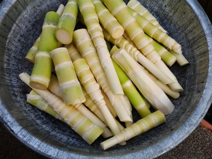 Mẹ bầu ăn măng được không?
