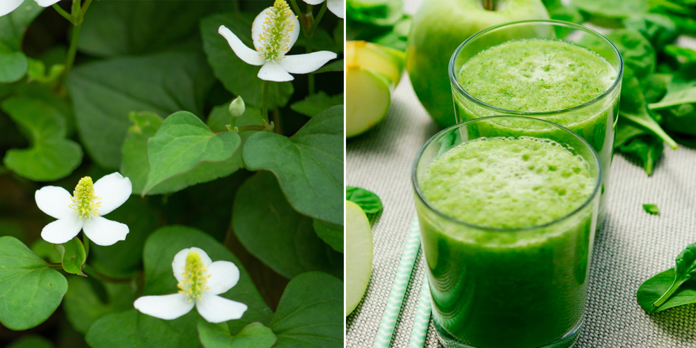 Mặt nạ diếp cá có tốt không?
