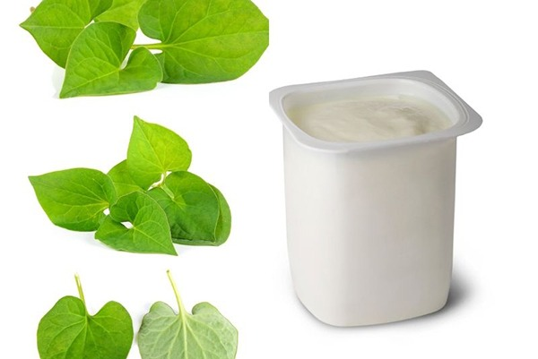 Công thức làm mặt nạ rau diếp cá với sữa chua