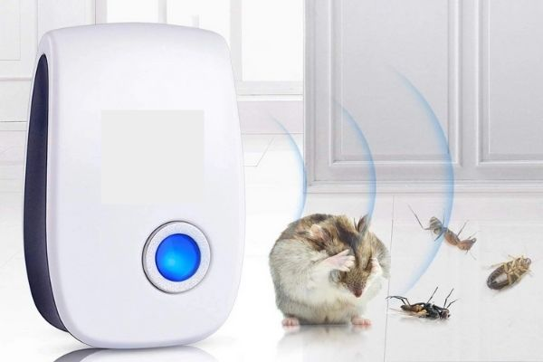 Sử dụng âm thanh từ máy đuổi chuột