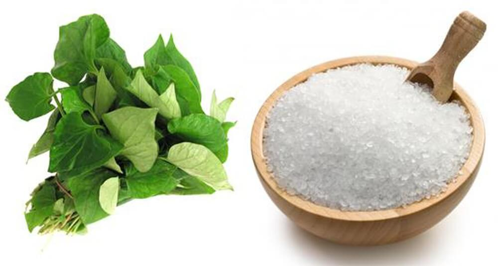 Cách làm mặt nạ diếp cá trị mụn ẩn cùng muối biển