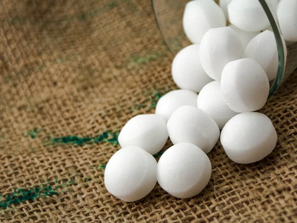 Cách đuổi ruồi nhanh nhất bằng băng phiến