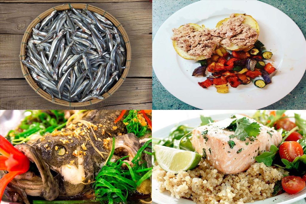 Các loại cá béo bổ sung nhiều protein