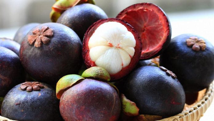 Cách bảo quản măng cụt