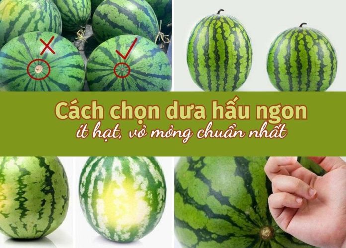 cách chọn dưa hấu ngon