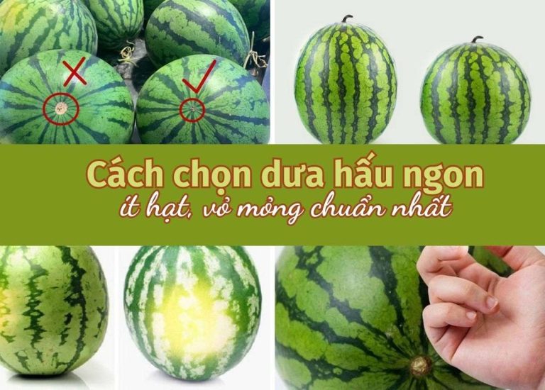 7 Cách chọn dưa hấu ngon ngọt, ít hạt, vỏ mỏng đơn giản chuẩn nhất&nbsp;