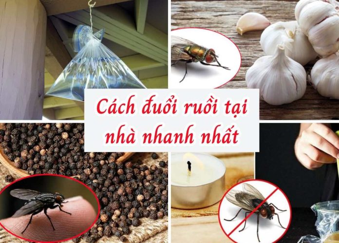 cách đuổi ruồi