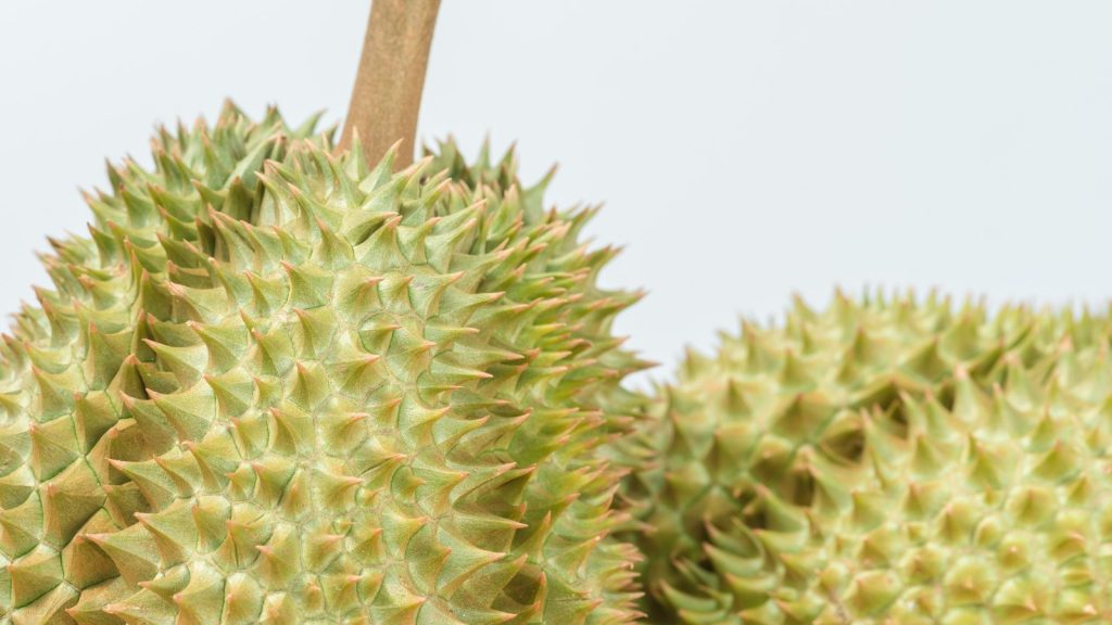 Nhận biết sầu riêng thông qua phần gai