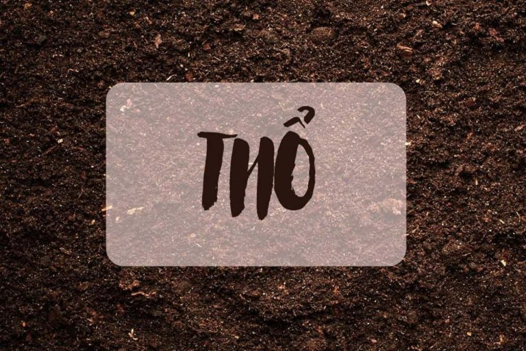Mệnh thổ sinh năm nào? Bật mí thông tin chi tiết về người mệnh thổ