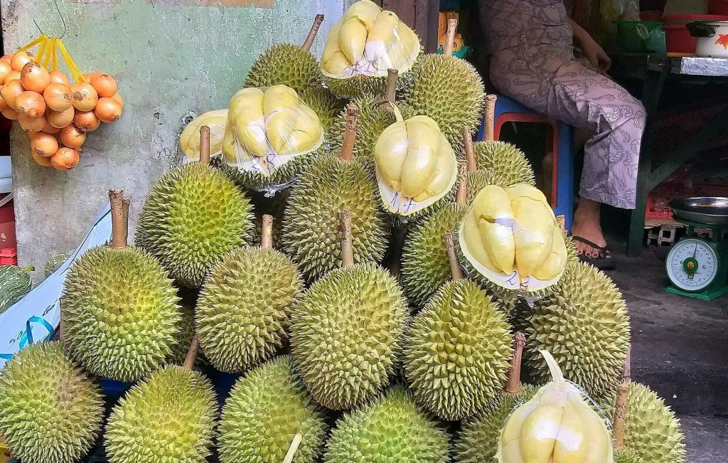 Sầu riêng chuồng bò