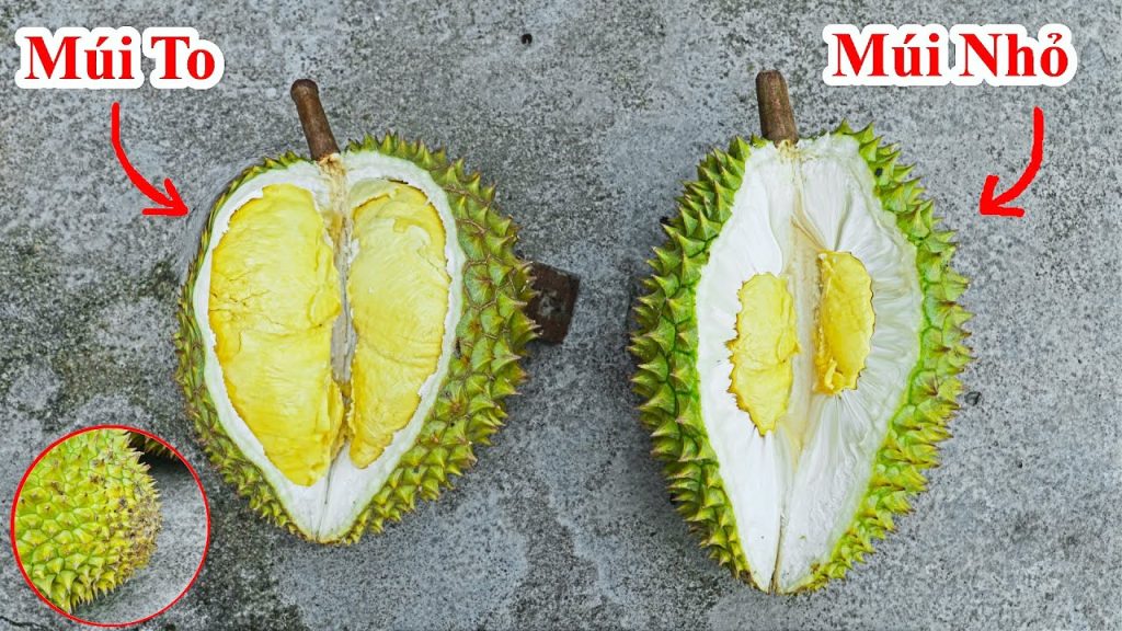 Mẹo nhỏ để chọn mua được quả sầu riêng ngon