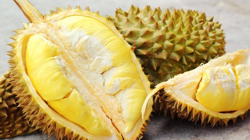 Sầu riêng loại ngon thường sẽ có 4-6 múi
