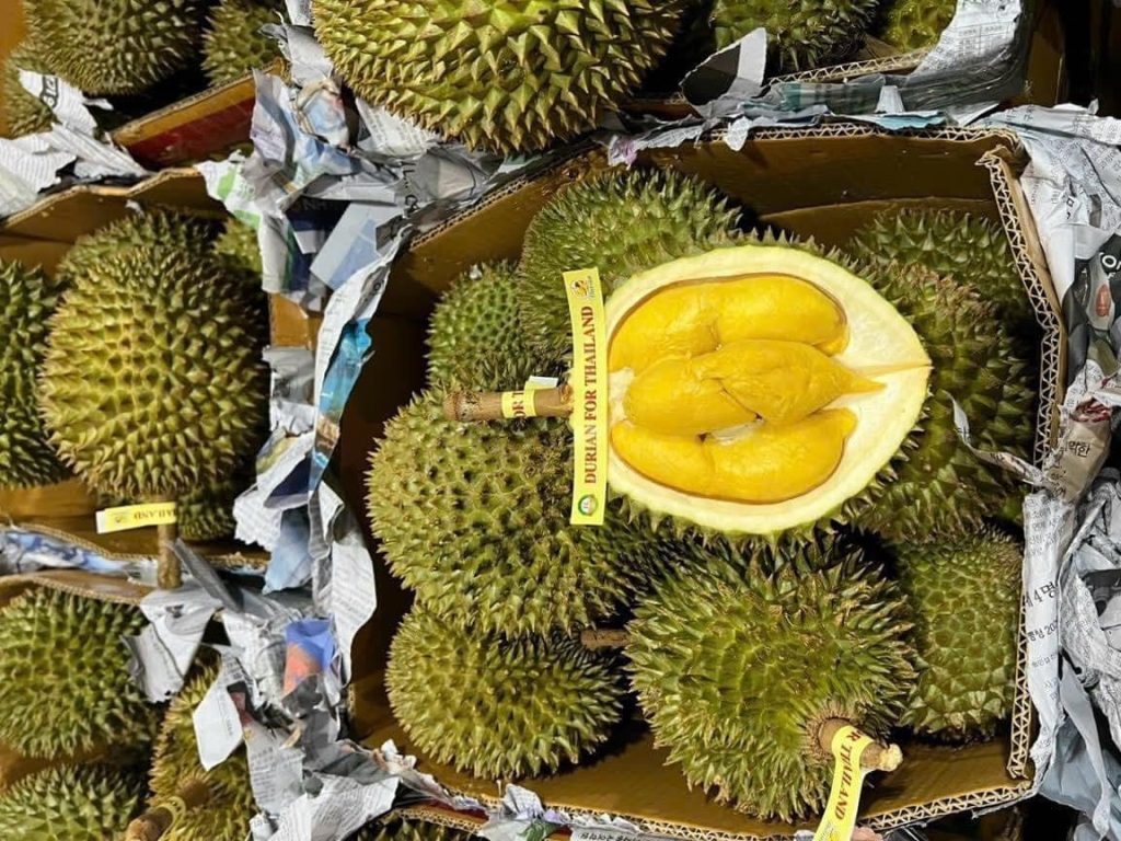 Sầu riêng Thái Lan có giá phải chăng