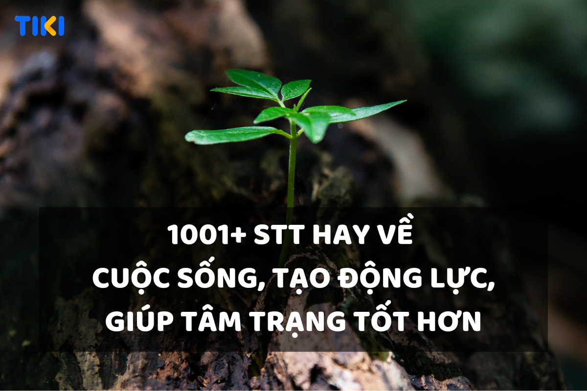 stt nói về cuộc sống