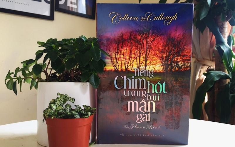 Tiểu thuyết Tiếng chim hót trong bụi mận gai