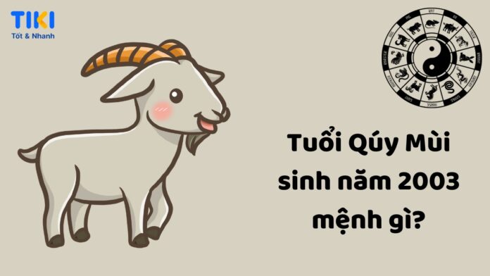 2003 mệnh gì