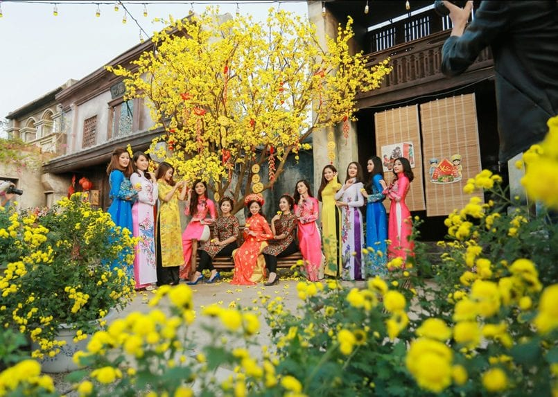 ý nghĩa hoa mai ngày tết