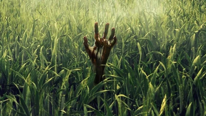 In The Tall Grass – Bụi Cỏ Ven Đường (2019)