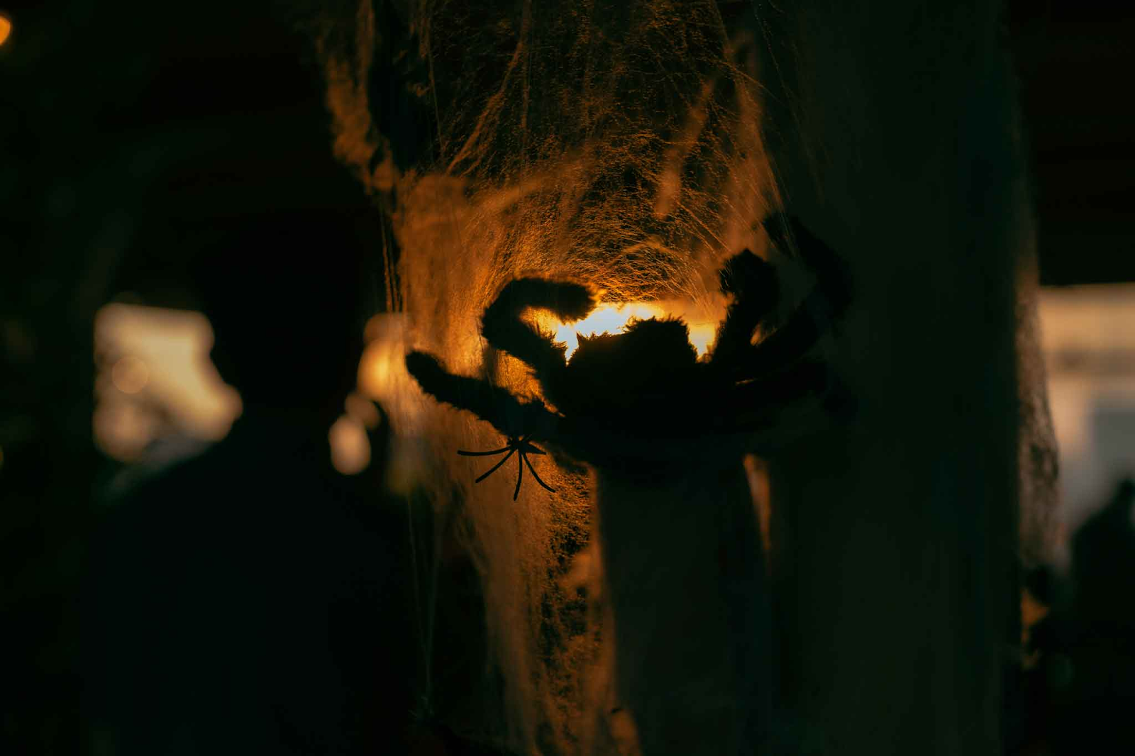 Thương Rooftop halloween