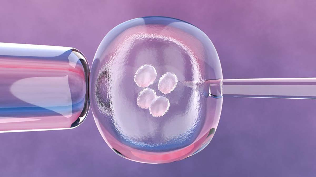 Chuyển phôi thụ tinh ống nghiệm ivf