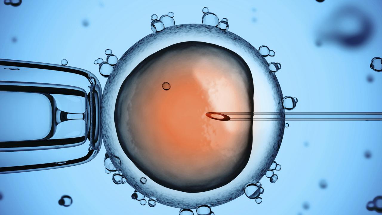 Thụ tinh ống nghiệm IVF là gì?