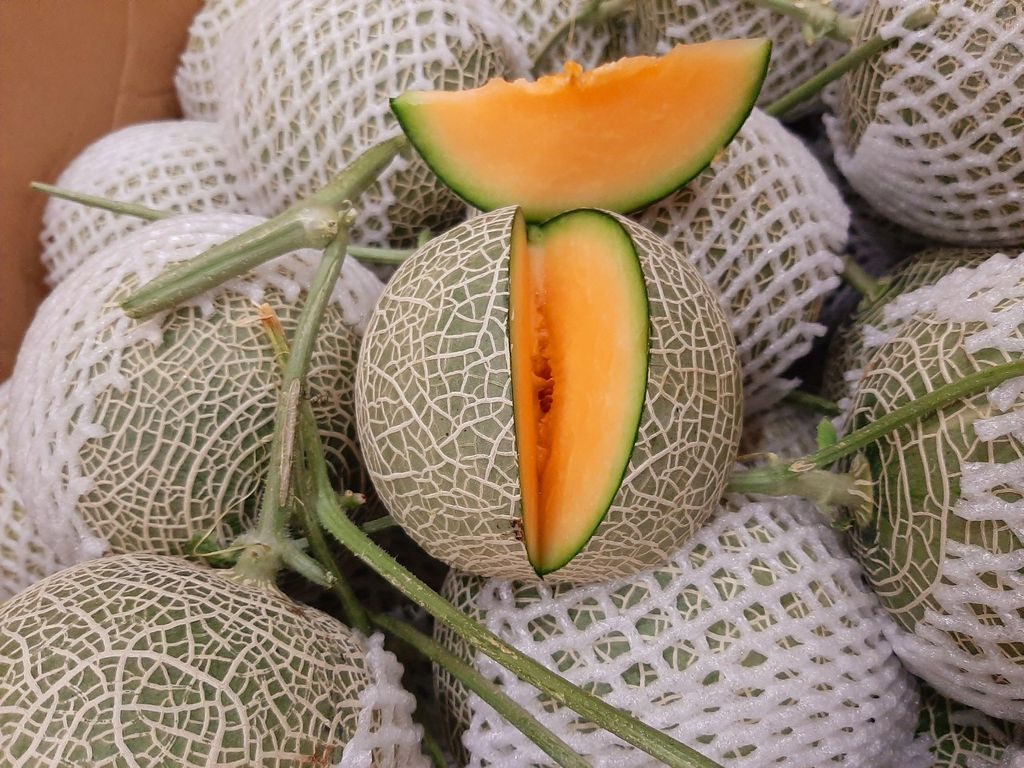 Ăn dưa lưới không gây tăng cân