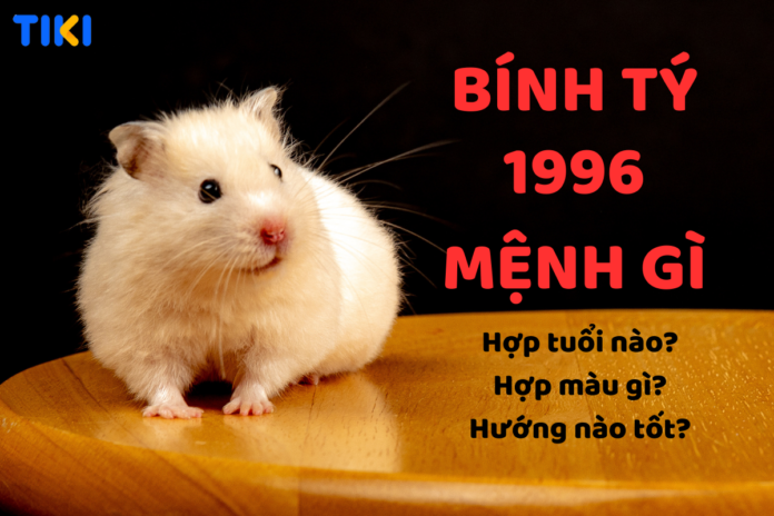 Bính Tý 1996 mệnh Thuỷ