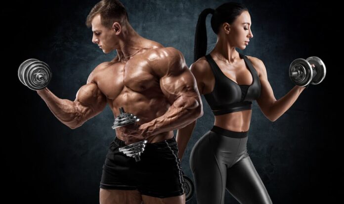 Bộ môn bulking