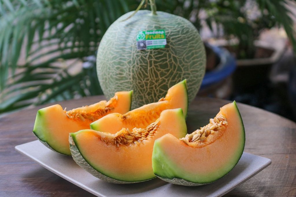 Cách chọn mua dưa lưới