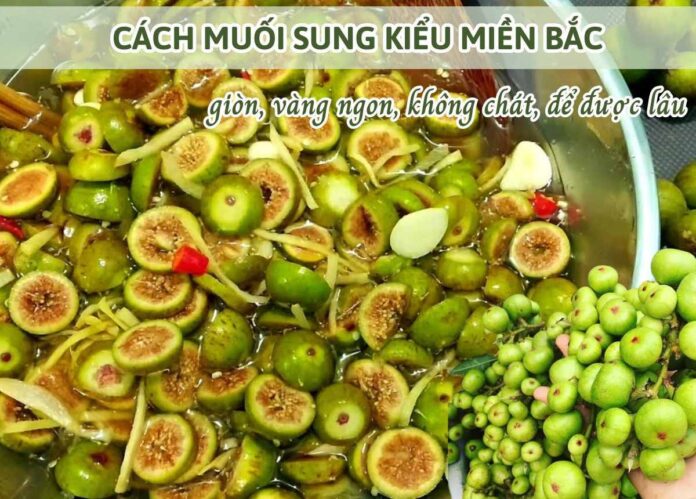 cách muối sung kiểu miền bắc