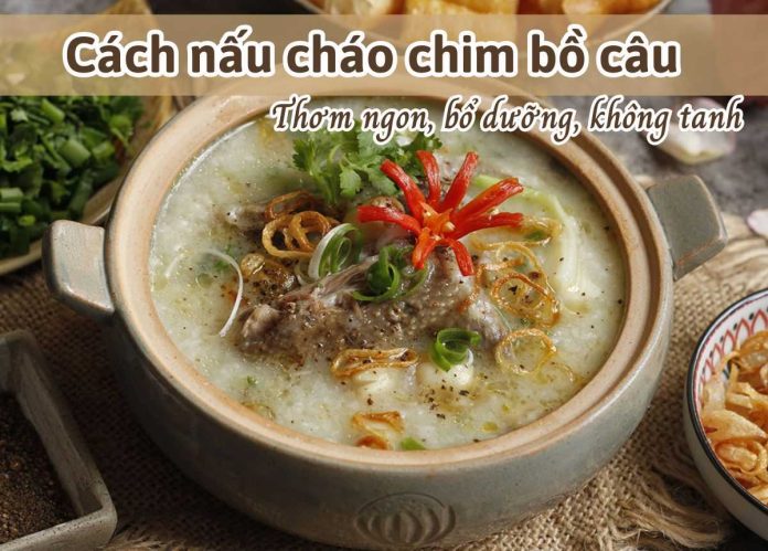 cách nấu cháo chim bồ câu