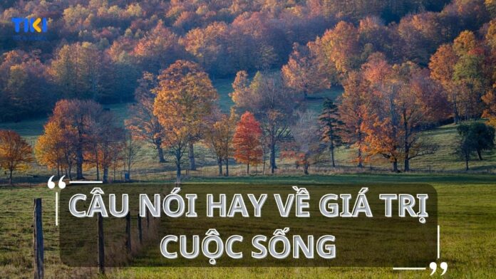 Câu nói hay về giá trị cuộc sống