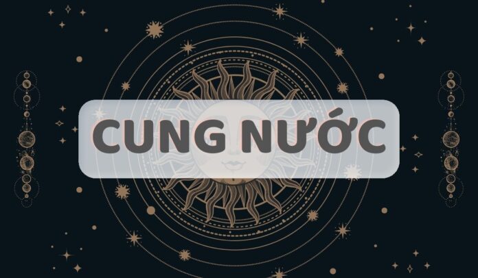 Cung nước gồm cung nào