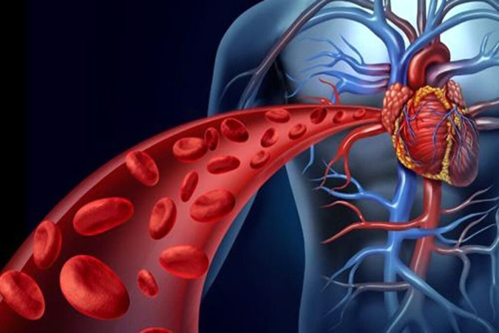 Ngải cứu giúp lưu thông máu
