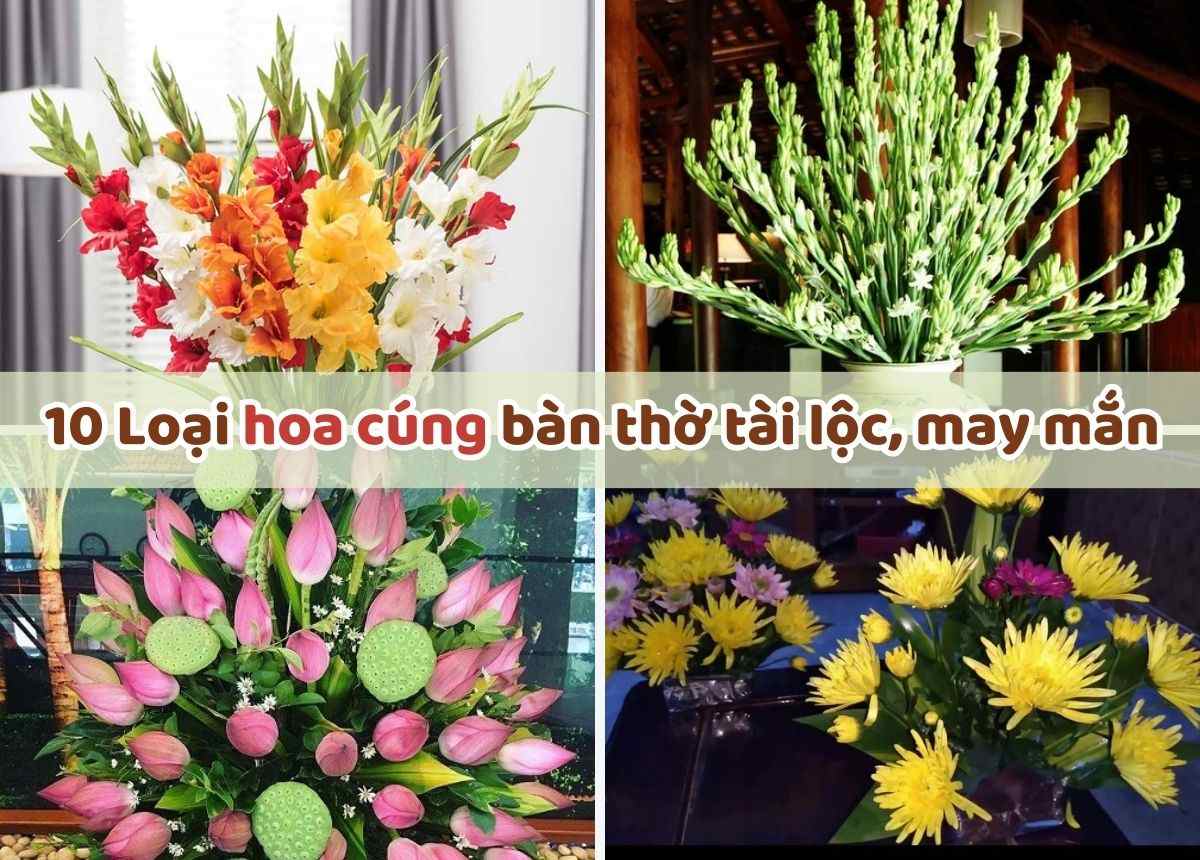 Bàn Thờ Phật Nên Chưng Hoa Gì? Hướng Dẫn Chọn Hoa Cúng Phật Đúng Cách