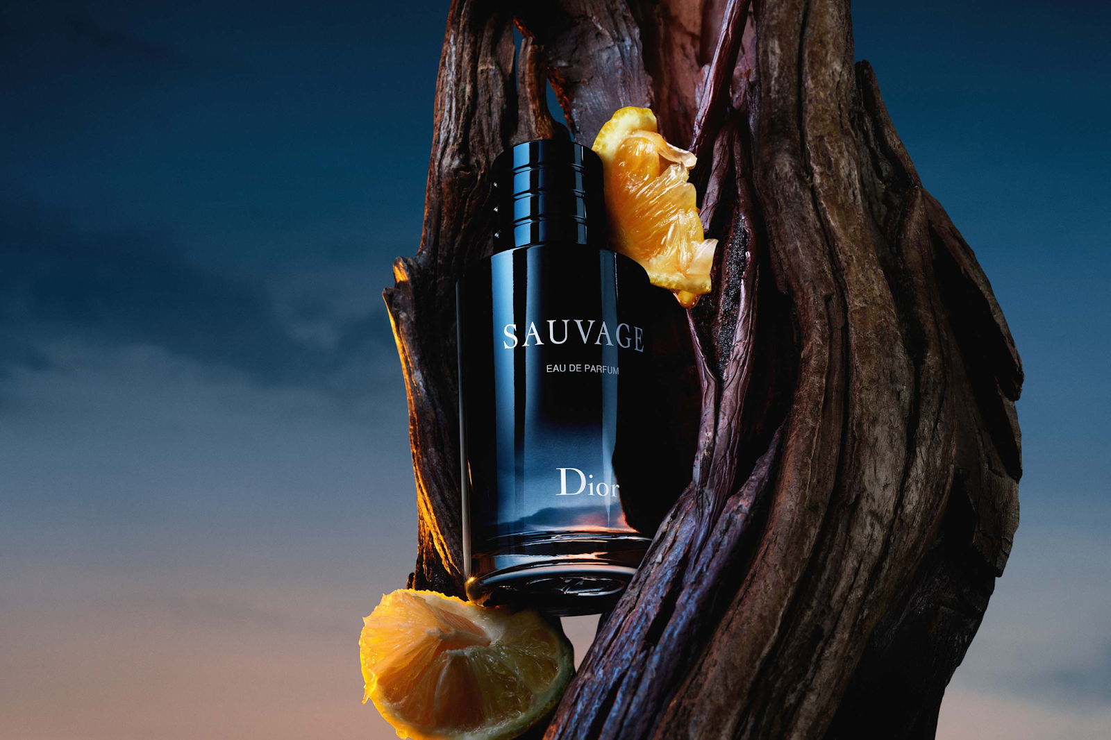 Nước hoa nam thơm lâu sang trọng Dior Sauvage