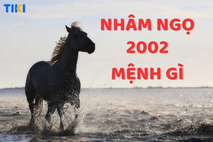 Tuổi Nhâm Ngọ 2002