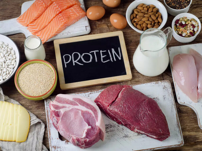 protein có trong thực phẩm nào