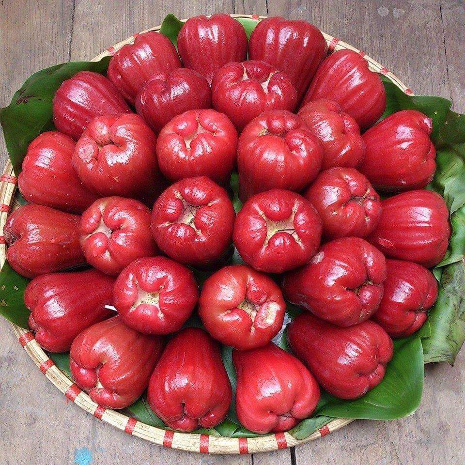 mận giàu canxi