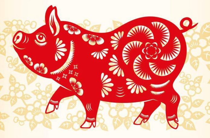 Tuổi Hợi sinh năm bao nhiêu