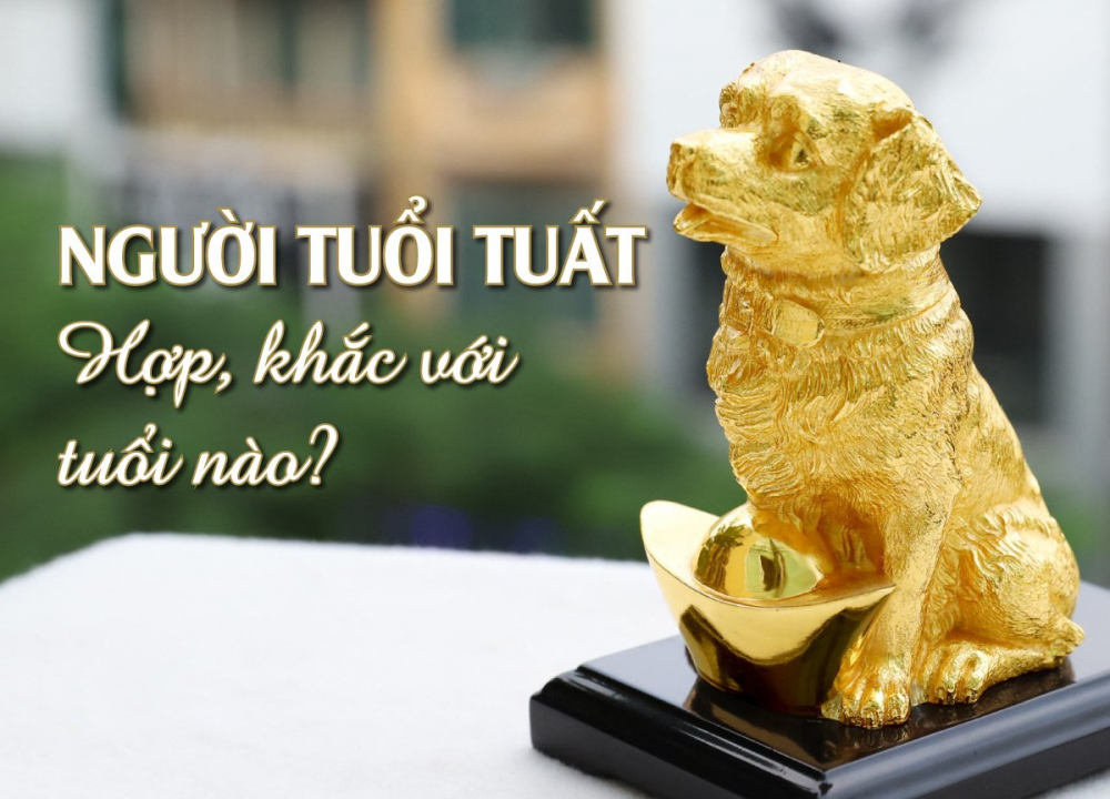Tuổi hợp tuổi Tuất