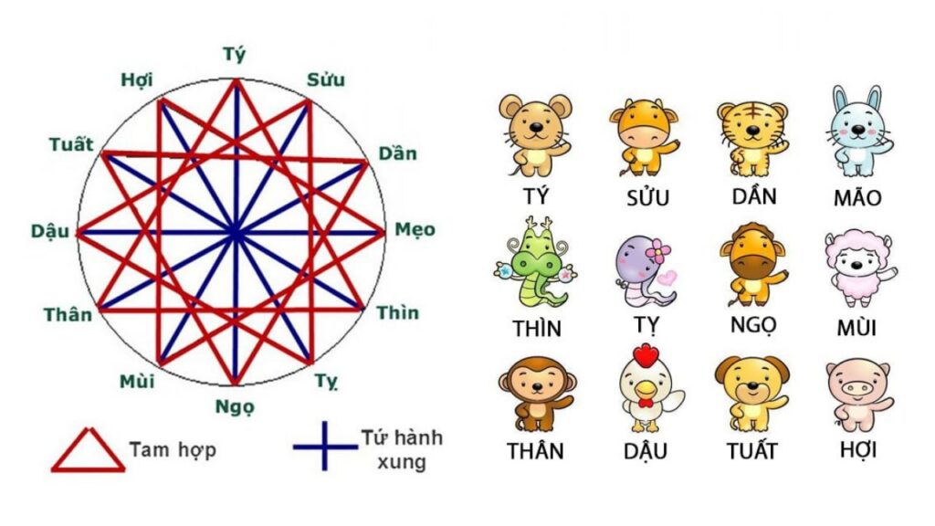 Dần, Thân, Hợi kỵ với tuổi Tỵ