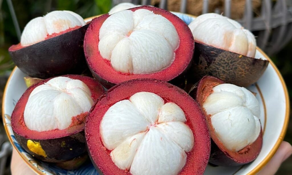 Nên ăn đúng lúc, đúng lượng cho phép 