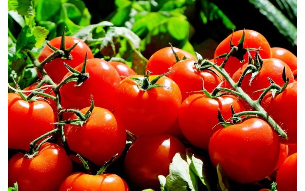 Cà chua là thực phẩm chứa nhiều lợi ích cho gan