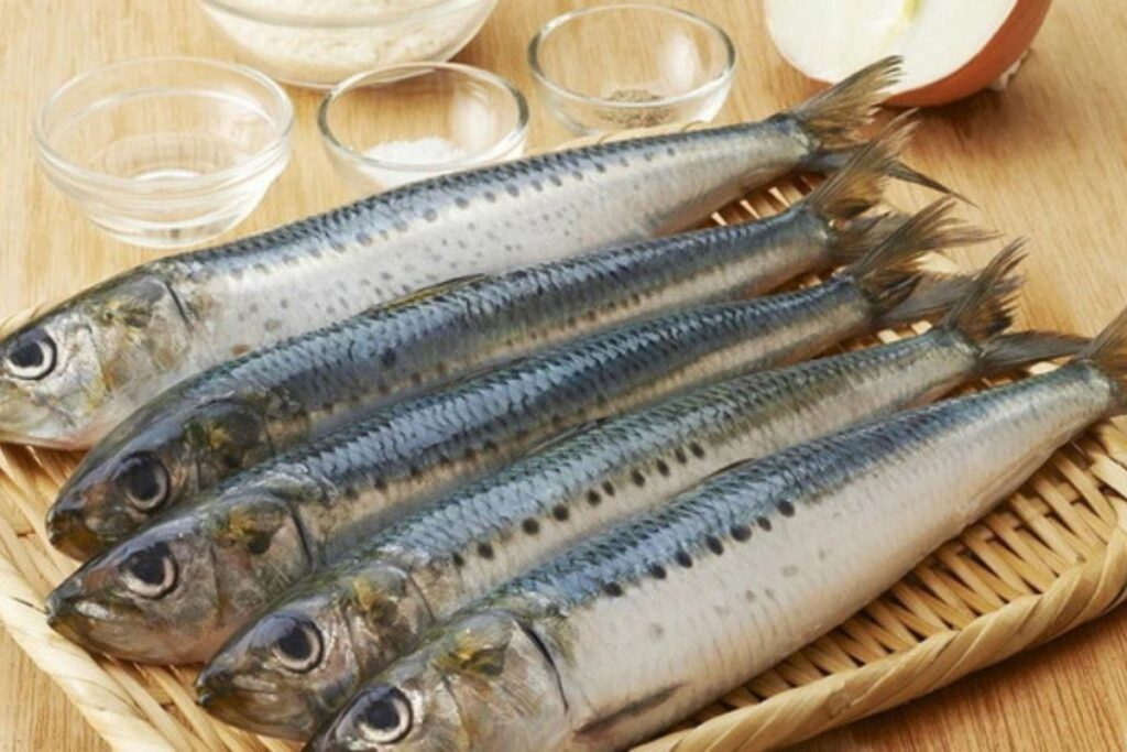 vitamin b12