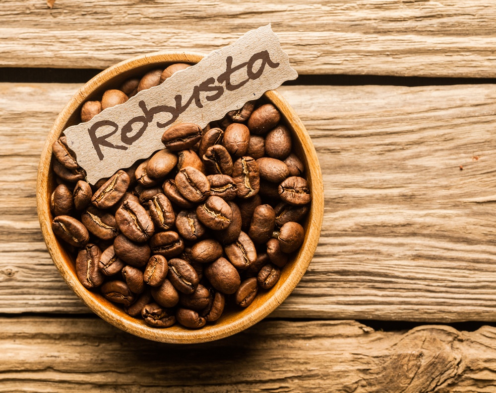 Cà phê vối hay còn gọi là Robusta